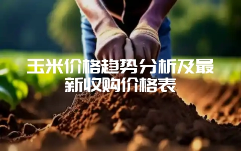 玉米价格趋势分析及最新收购价格表-会东网