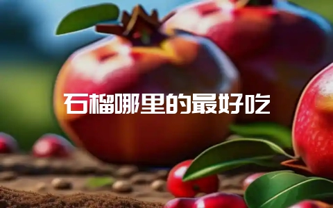 石榴哪里的最好吃插图 石榴哪里的最好吃插图