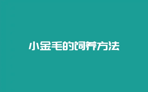 小金毛的饲养方法-会东网