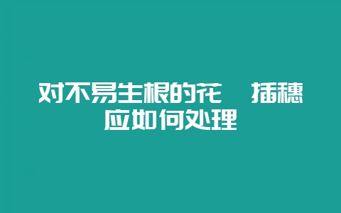 对不易生根的花卉插穗应如何处理-会东网