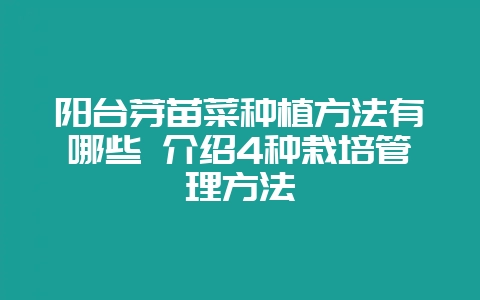 阳台芽苗菜种植方法有哪些 介绍4种栽培管理方法-会东网