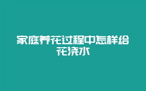 家庭养花过程中怎样给花浇水-会东网