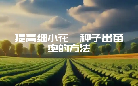 提高细小花卉种子出苗率的方法-会东网