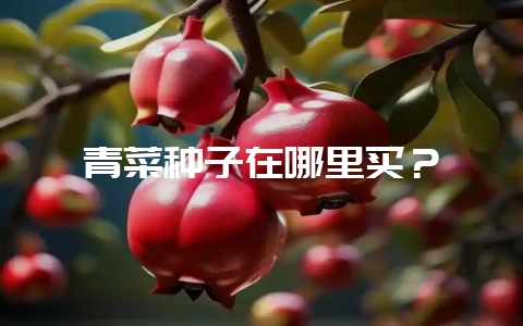 青菜种子在哪里买?-会东网