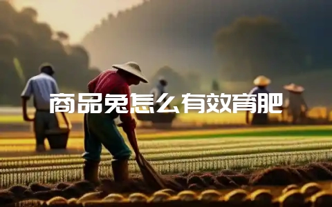 商品兔怎么有效育肥-会东网