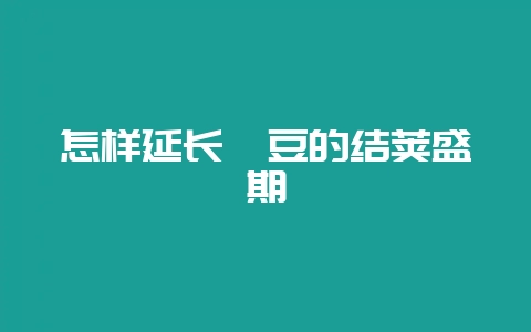 怎样延长豇豆的结荚盛期-会东网