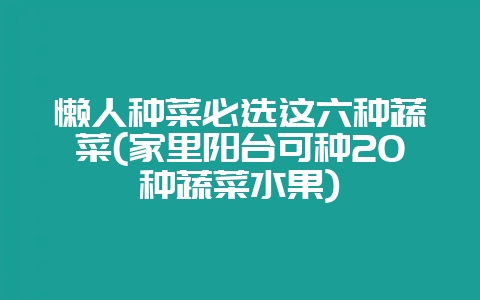 懒人种菜必选这六种蔬菜(家里阳台可种20种蔬菜水果)-会东网