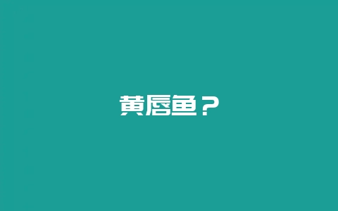 黄唇鱼？-会东网