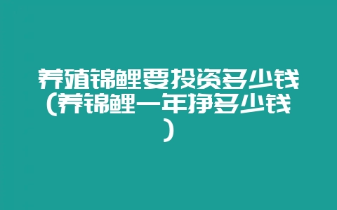养殖锦鲤要投资多少钱(养锦鲤一年挣多少钱)-会东网