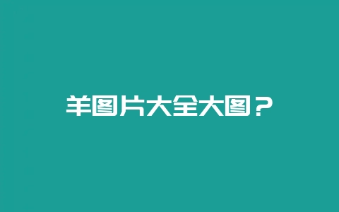 羊图片大全大图？-会东网
