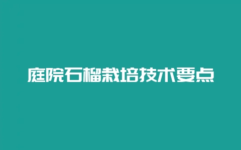 庭院石榴栽培技术要点-会东网