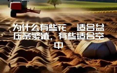 为什么有些花卉适合盆压条繁殖，有些适合空中-会东网