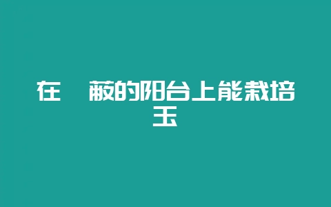 在荫蔽的阳台上能栽培玉簪-会东网