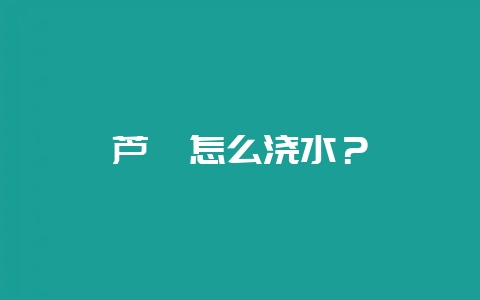 芦荟怎么浇水？-会东网