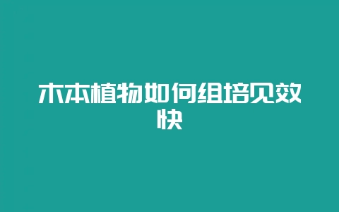 木本植物如何组培见效快-会东网