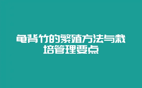 龟背竹的繁殖方法与栽培管理要点-会东网
