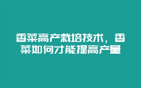 香菜高产栽培技术，香菜如何才能提高产量-会东网