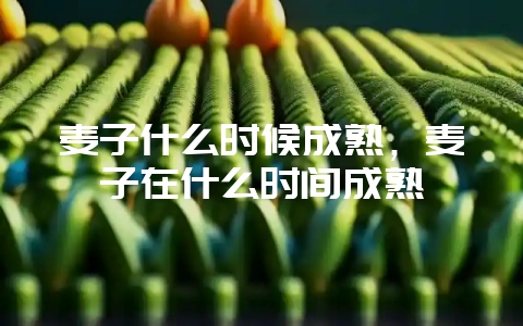 麦子什么时候成熟，麦子在什么时间成熟-会东网