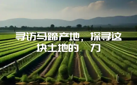 寻访马蹄产地，探寻这块土地的魅力-会东网