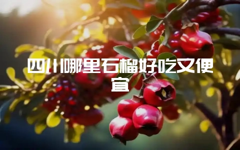 四川哪里石榴好吃又便宜-会东网