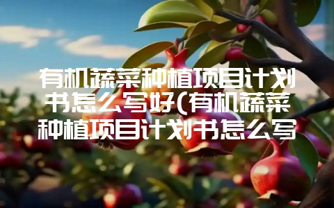 有机蔬菜种植项目计划书怎么写好(有机蔬菜种植项目计划书怎么写好呢)-会东网