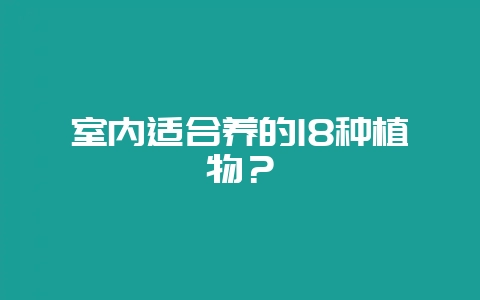 室内适合养的18种植物？-会东网