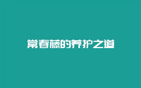 常春藤的养护之道-会东网
