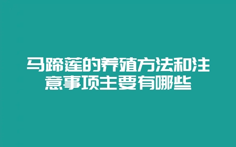 马蹄莲的养殖方法和注意事项主要有哪些-会东网