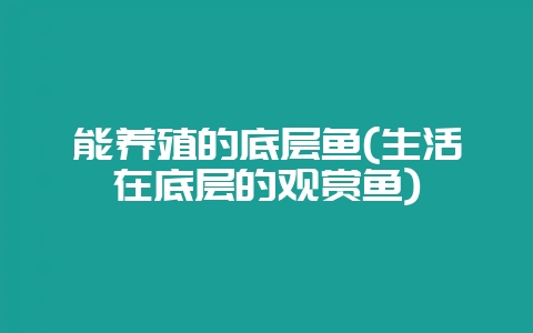 能养殖的底层鱼(生活在底层的观赏鱼)-会东网