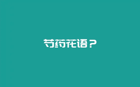 芍药花语？-会东网