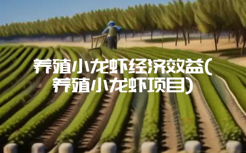 养殖小龙虾经济效益(养殖小龙虾项目)-会东网