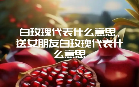 白玫瑰代表什么意思，送女朋友白玫瑰代表什么意思-会东网