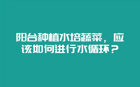 阳台种植水培蔬菜，应该如何进行水循环？-会东网