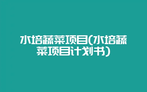 水培蔬菜项目(水培蔬菜项目计划书)-会东网