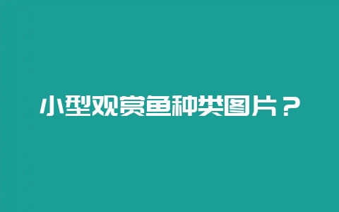 小型观赏鱼种类图片？-会东网