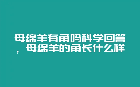 母绵羊有角吗科学回答，母绵羊的角长什么样-会东网