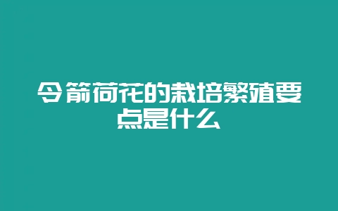 令箭荷花的栽培繁殖要点是什么-会东网