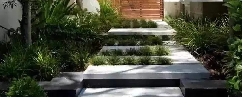 园林树木的常见造景形式有哪些?-会东网
