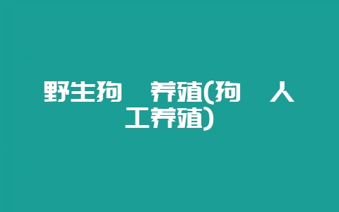 野生狗獾养殖(狗獾人工养殖)-会东网
