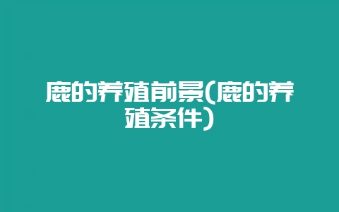 鹿的养殖前景(鹿的养殖条件)-会东网