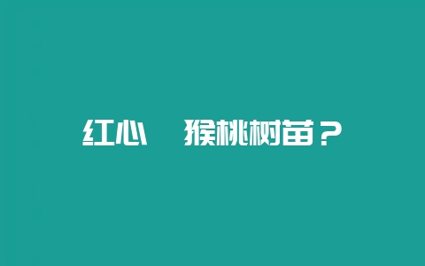 红心猕猴桃树苗？-会东网