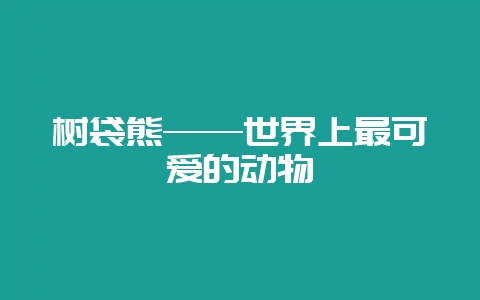 树袋熊——世界上最可爱的动物-会东网