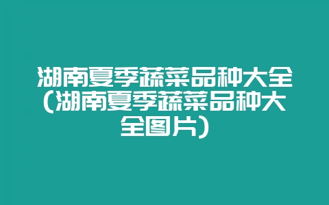 湖南夏季蔬菜品种大全(湖南夏季蔬菜品种大全图片)-会东网