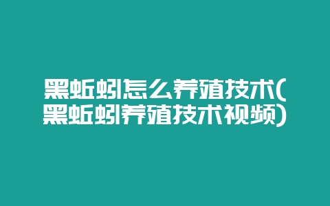 黑蚯蚓怎么养殖技术(黑蚯蚓养殖技术视频)-会东网
