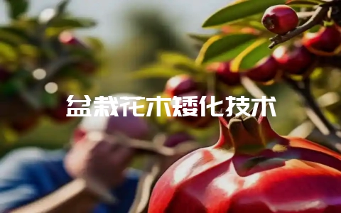 盆栽花木矮化技术-会东网