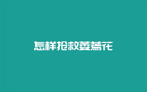 怎样抢救萎蔫花卉-会东网