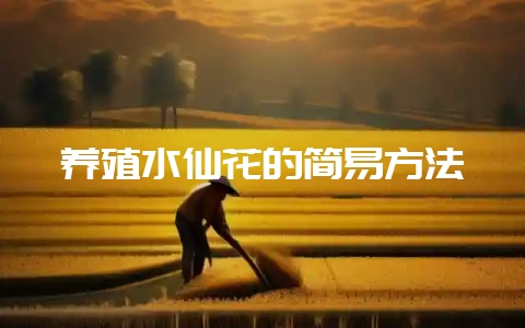 养殖水仙花的简易方法-会东网