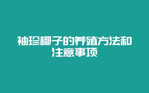袖珍椰子的养殖方法和注意事项-会东网