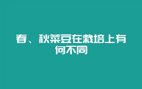 春、秋菜豆在栽培上有何不同-会东网