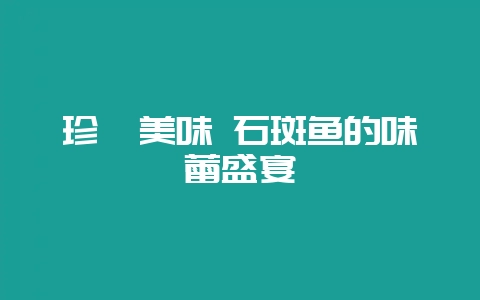 珍馐美味 石斑鱼的味蕾盛宴-会东网
